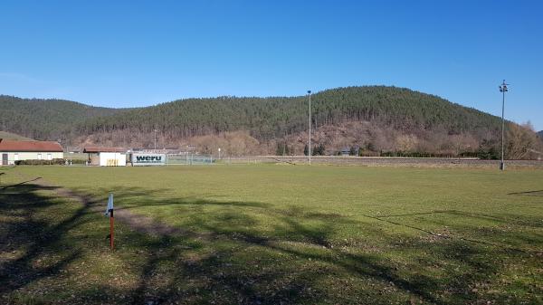 Sportanlage An der Bahn Platz 2 - Langenorla-Kleindembach
