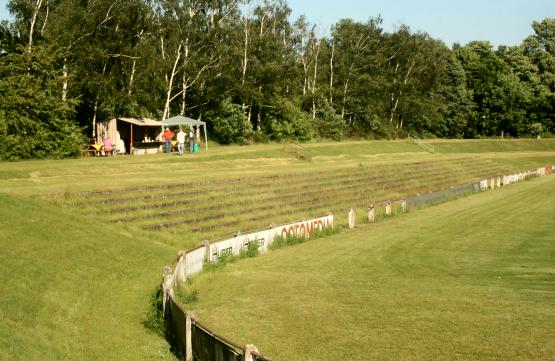 Münchfeldstadion - Rastatt