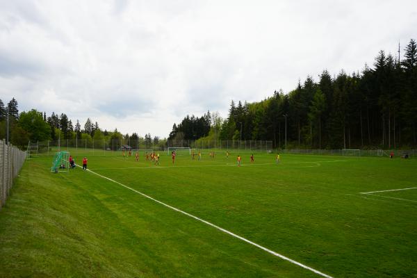 Waldheimplatz - Albstadt-Ebingen