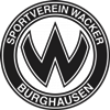 Wappen SV Wacker Burghausen 1930 diverse  77106