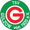 Wappen TSV Gülzow 1920 diverse  13679