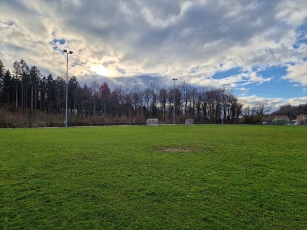 Sportzentrum Eselriet Platz 3 - Illnau-Effretikon