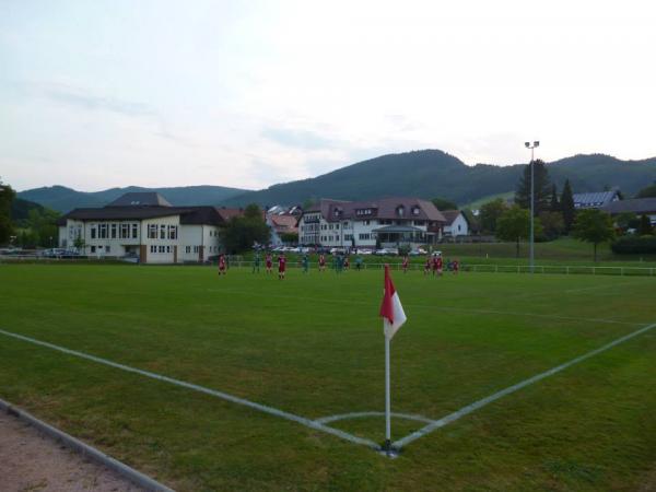 Sportanlage Waldseeweg Platz 2 - Hofstetten/Baden
