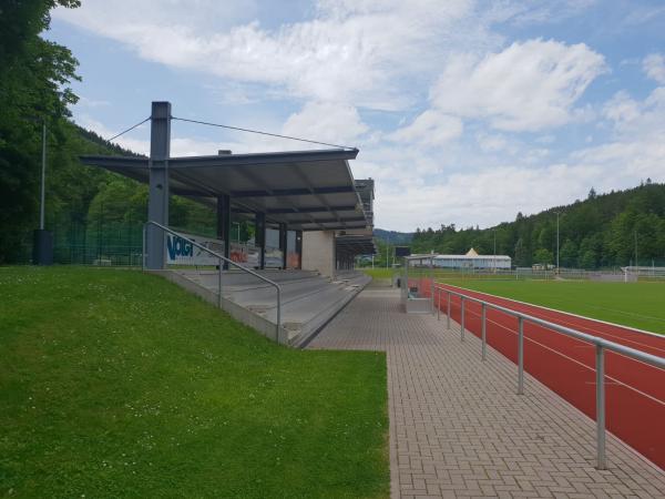 Stadion im Hammergrund - Ilmenau