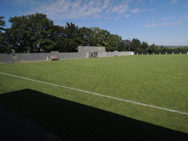 Riesling-Arena - Ludwigshöhe