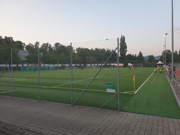 Sportplatz Wartegg - Luzern