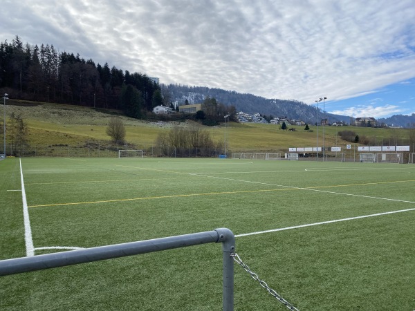 Sportplatz Ruopigen Platz 2 - Luzern