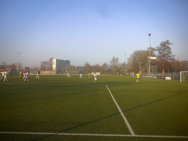 Sportpark Kalverdijkje Noord veld 4 - Leeuwarden