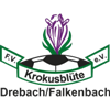 Wappen FV Krokusblüte Drebach/Falkenbach 1925 II  37169