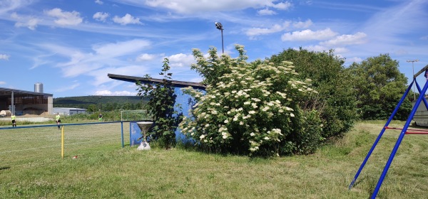 Sportplatz Bisonstraße - Springe