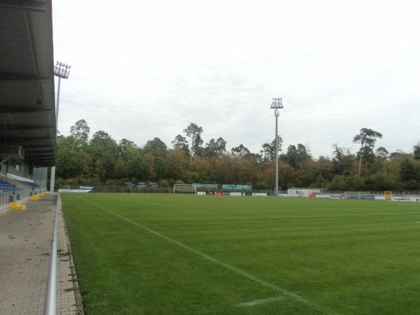 Stadion im Dietmar-Hopp-Sportpark - Walldorf