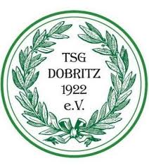 Wappen TSG Dobritz 1922 diverse  64035