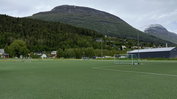 Stryn Krøllgras - Stryn