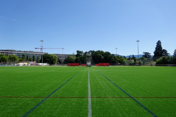Stade de Balexert terrain 1 - Châtelaine