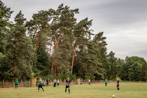 Sportplatz am Wald - Pirna-Hinterjessen