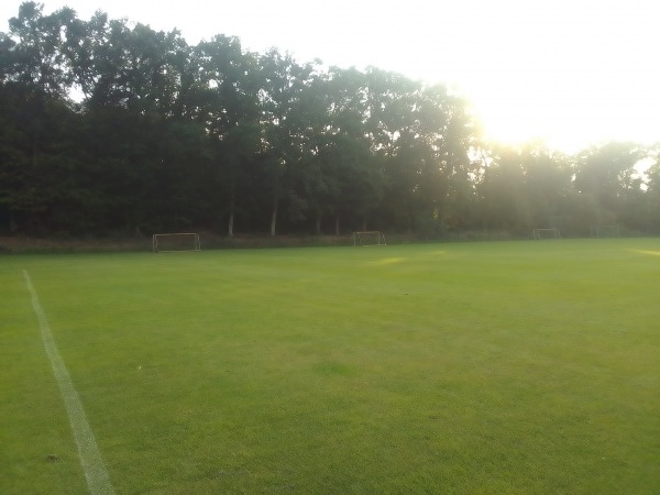 Sportpark Hasenburger Grund B-Platz - Lüneburg