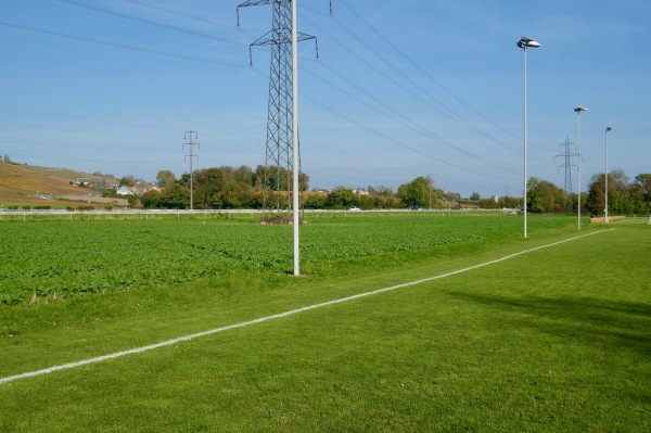 Terrain En Chanivet terrain annexe - Perroy