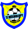 Wappen TJ Měcholupy   79979