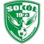 Wappen LKS Sokół Dąbrówka Wielkopolska