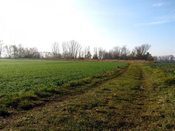 Sportplatz Bornitz - Elsteraue-Bornitz