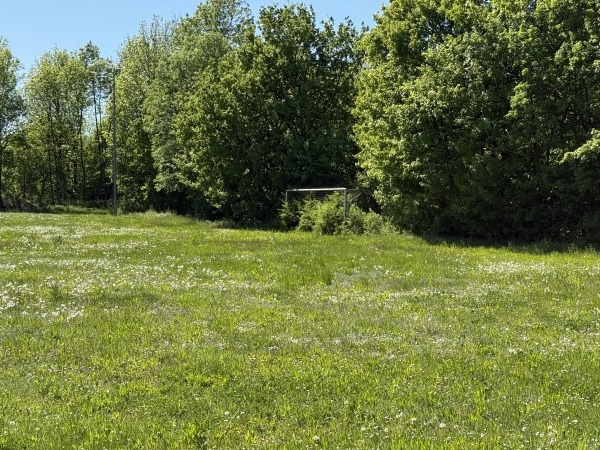 Waldstadion Nebenplatz - Kronach-Vogtendorf
