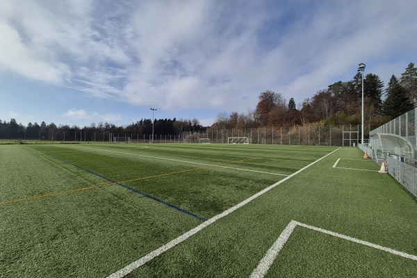 Sportanlage Barzloo Kunstrasenplatz - Pfäffikon ZH
