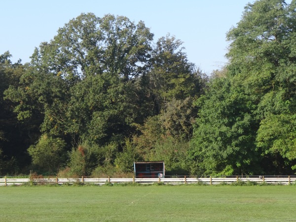 Sportplatz Swisterberg - Weilerswist