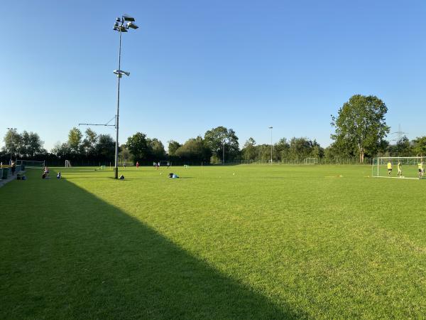 Sportplatz Rheinauen Platz 3 - Diepoldsau