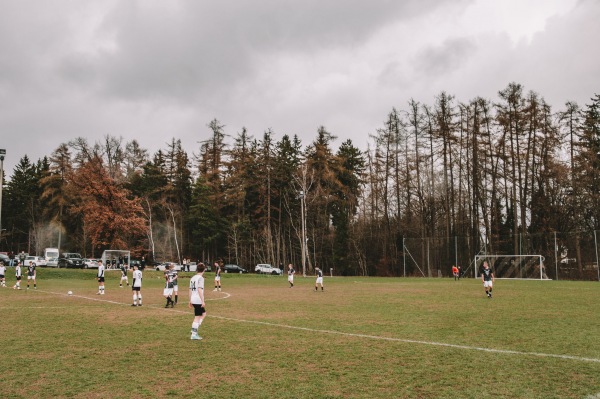 Waldstadion Nebenplatz - Rosenbach/Vogtland-Syrau