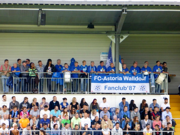 Stadion im Dietmar-Hopp-Sportpark - Walldorf