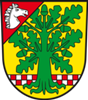 Wappen SV Traktor Ivenack 1991