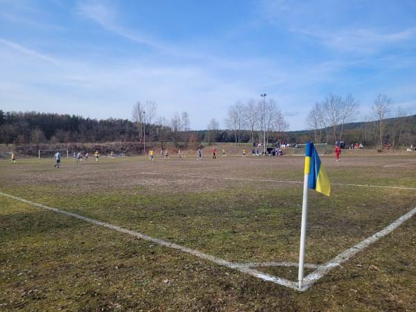TuS-Sportzentrum Platz 2 - Schnaittenbach
