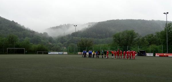 Sportplatz an der Carolabrücke - Rathmannsdorf