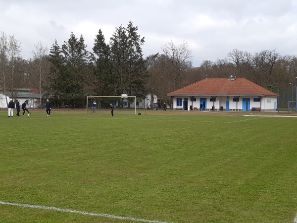 Walter-Schneider-Sportplatz - Grünheide/Mark-Hangelsberg