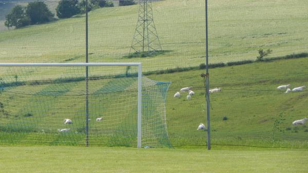Sportplatz an der Kirche - Lichtenberg/Erzgebirge-Weigmannsdorf