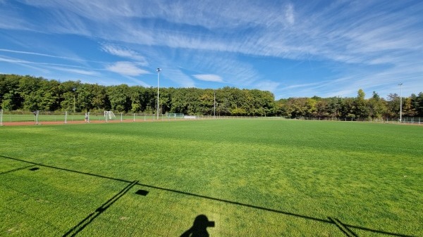 Centre Sportif de la Bécassière terrain D - Versoix