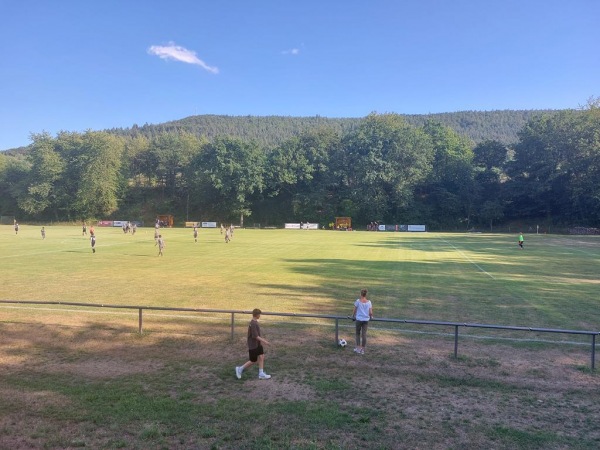 Sportplatz Nibelungenstraße - Wertheim-Mondfeld