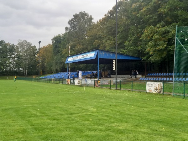 Stadion im. H. Śmiechowicza - Rzgów