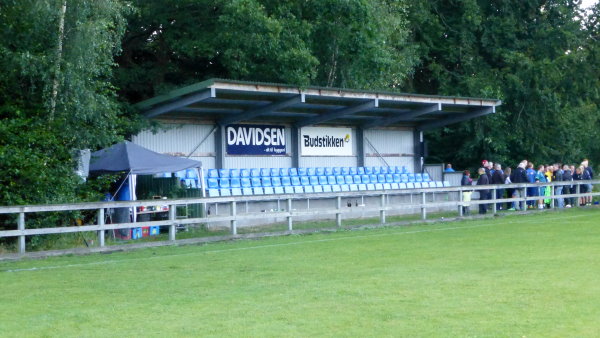 SkovParken - Vojens
