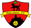 Wappen Hohnsteiner SV 1947  40722