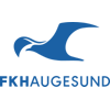 Wappen FK Haugesund diverse