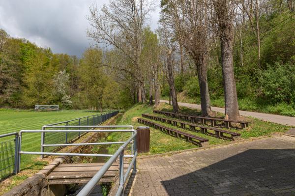 Sportplatz am Hirschbach - Striegistal-Pappendorf