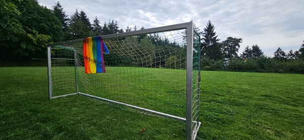 Sportplatz Linkenbach - Linkenbach