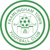 Wappen Framlingham Town FC