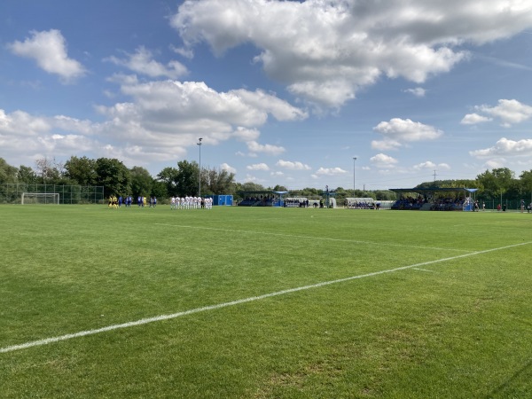 Zalaegerszegi Ifjúsági Sportcentrum - Zalaegerszeg