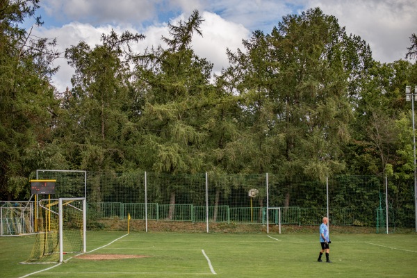 Sportplatz Am Wasserturm - Zwickau-Oberplanitz