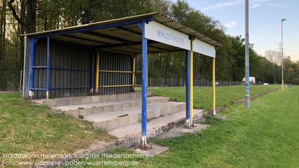 Waldstadion - Salzgitter-Hallendorf