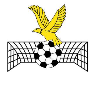 Wappen Manurewa AFC