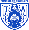 Wappen Tonbridge Angels FC