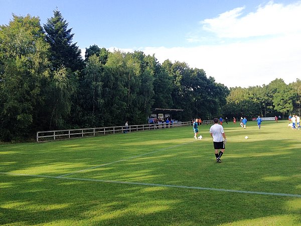 SkovParken - Vojens